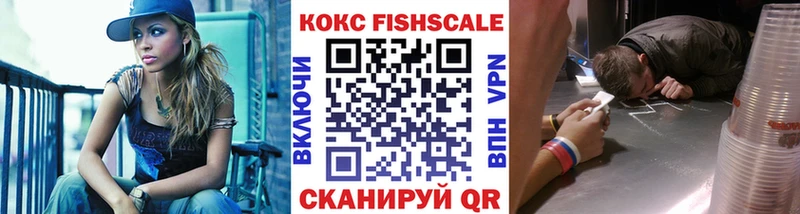 COCAIN FishScale  Купить закладки  Аткарск 