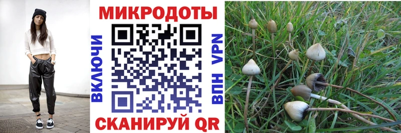 Купить  Аткарск  Галлюциногенные грибы GOLDEN TEACHER 